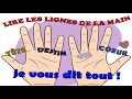 Lignes de la main  apprendre a lire les lignes des mains