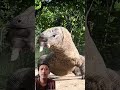 #animals #wildlife #jimcorbettwildlifeandnatureview #lifeisbutadream