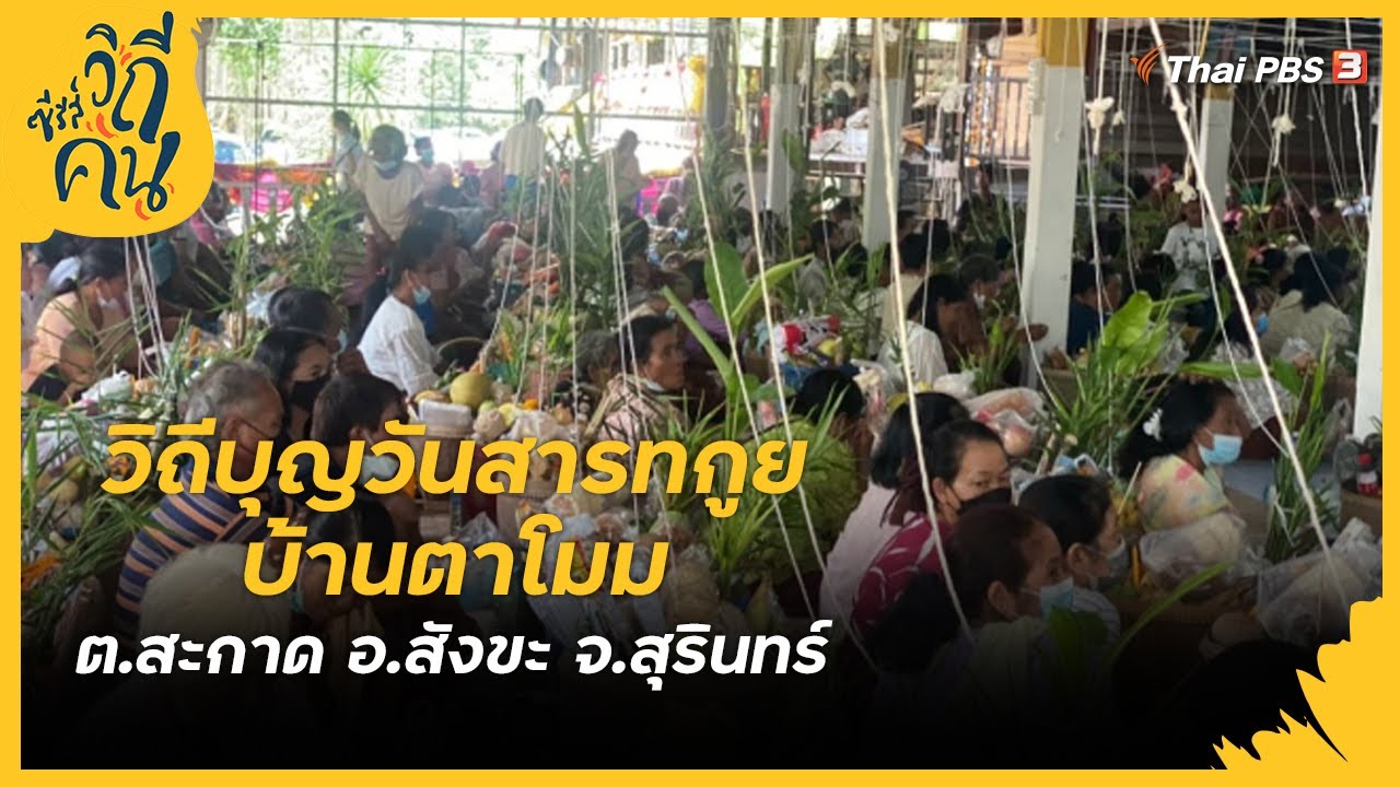 วิถีบุญวันสารทกูย บ้านตาโมม ต.สะกาด อ.สังขะ จ.สุรินทร์ | ซีรีส์วิถีคน [CC]