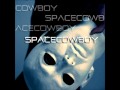 스페이스 카우보이 Space Cowboy 설국열차 Snow Piercer 스페이스 카우보이 Space Cowboy 설국열차 Snow Piercer