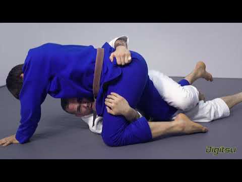 PAUL SCHREINER 1/2: Addressing The Whizzer