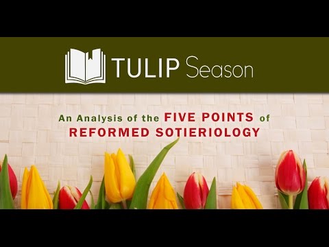 Perseverance of the Saints: Is It Assurance? camera iphone 8 plus apk