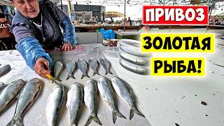 Золотая РЫБА!!! Я В ШОКЕ ОТ ЦЕН!!! Одесса Привоз 2026