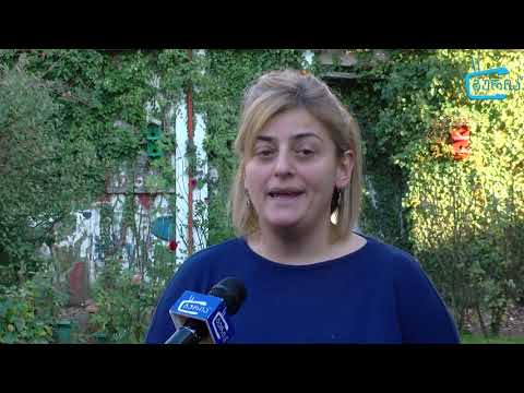 კონფერენცია სასკოლო პრობლემატიკასთან დაკავშირებით