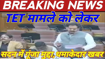 TET मामले को लेकर धमाकेदार खबर || tet mandatory latest news || tet supreme court latest news  ||
