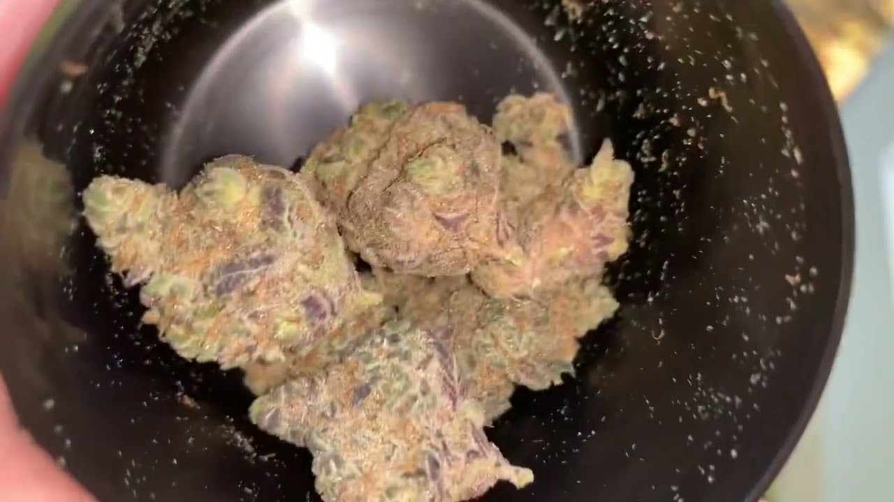 PLATINUM GARLIC LIVE STREAM REVIEW DROPS DURING THE WEEK!!!