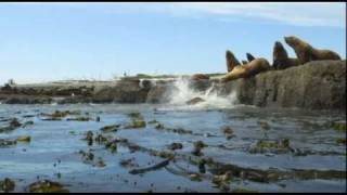 Sea Kayak Vancouver Island Tofino to Port Hardy part 3 estevan to nootka  BC 2010
