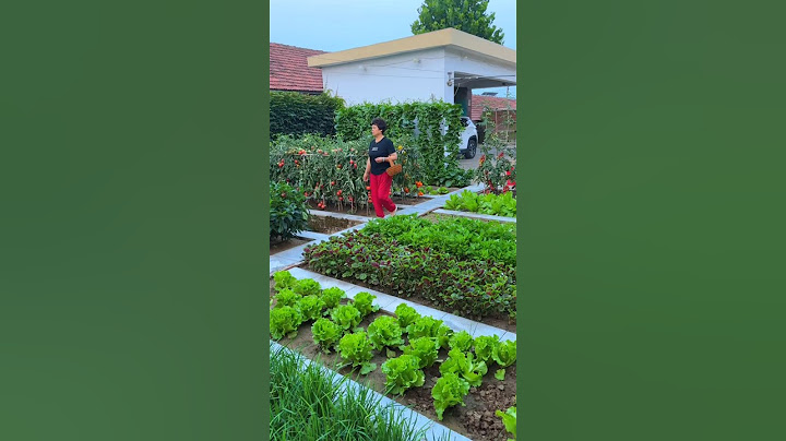 There is no surprise and no prosperity. Turning the vegetable garden into a flower garden.