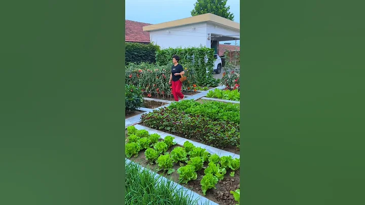 There is no surprise and no prosperity. Turning the vegetable garden into a flower garden. thumbnail