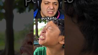 Biribiri Do Pitomba -Fofinho