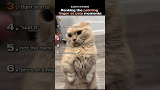 Ranking The Pointing Finger At Cats Moments