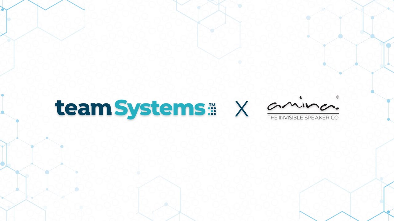 TeamSystems x Amina - Invisible Speaker