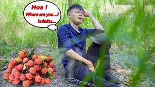 A sad disabled brother searches for his missing sister - Harvesting Lychees Goes to the market sell