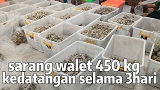 Sarang walet dari berbagai daerah, datang 3hari berturut turut 