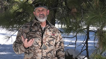 Bobwhite Quail Locator Call - Instructional video using the Dominator Game Call