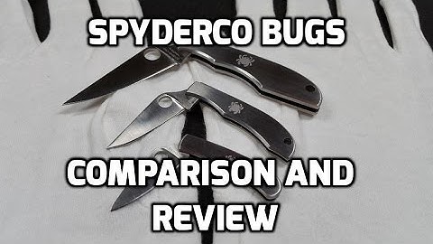 Spyderco Bug, HoneyBee, Grasshopper EDC/Keychain knife review