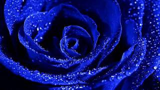 Rosas Del Amor - Armik
