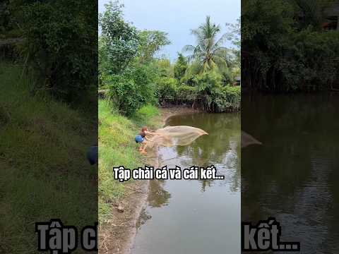 Câu không được thì mình chài luôn 😆😆 #vyhanfishing #fishing #chaica