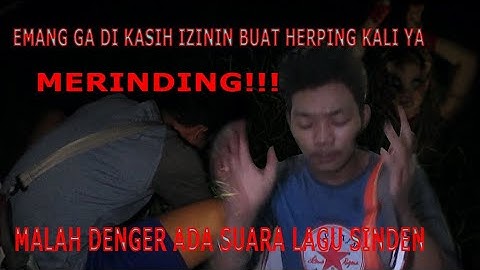 SEREM!!! || MENDENGAR SUARA GAMELAN/NYINDEN || NIATNYA MAU HERPING EH MALAH DENGER BEGITUAN