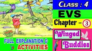 WINGED BUDDIES STD 4 EVS UNIT 3\/CLASS 4 EVS CHAPTER 3 FULL EXPLANATION \& ACTIVITIES #class4evs #std4