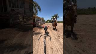 Horse people🤠 #laniña🐴 #fyp #teamroping #rodeo