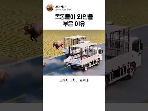 목동들이 와인을 부은 이유 thumbnail