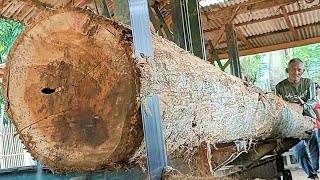 see how a professional old operator saws a 5 meter long teak wood plank