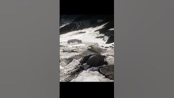 Ghost Recon Breakpoint C4