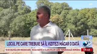 Pădurea Letea, Un Loc Unic În Europa