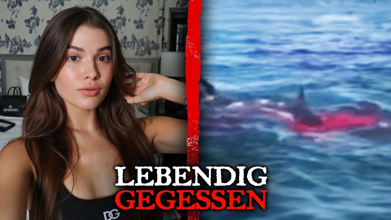 18 Fuß Großer Weißer Hai Verschlingt Schwimmerin..