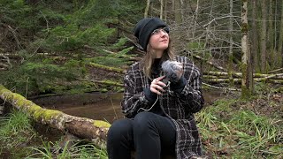 ASMR - Reset in the forest with me🌲