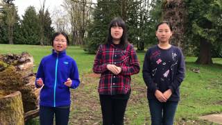 Zero Waste app pitch video