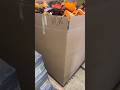 M28, $250plus tax #halloween #costume #palletloquidation #toyswhplesale #fyp #explorepage