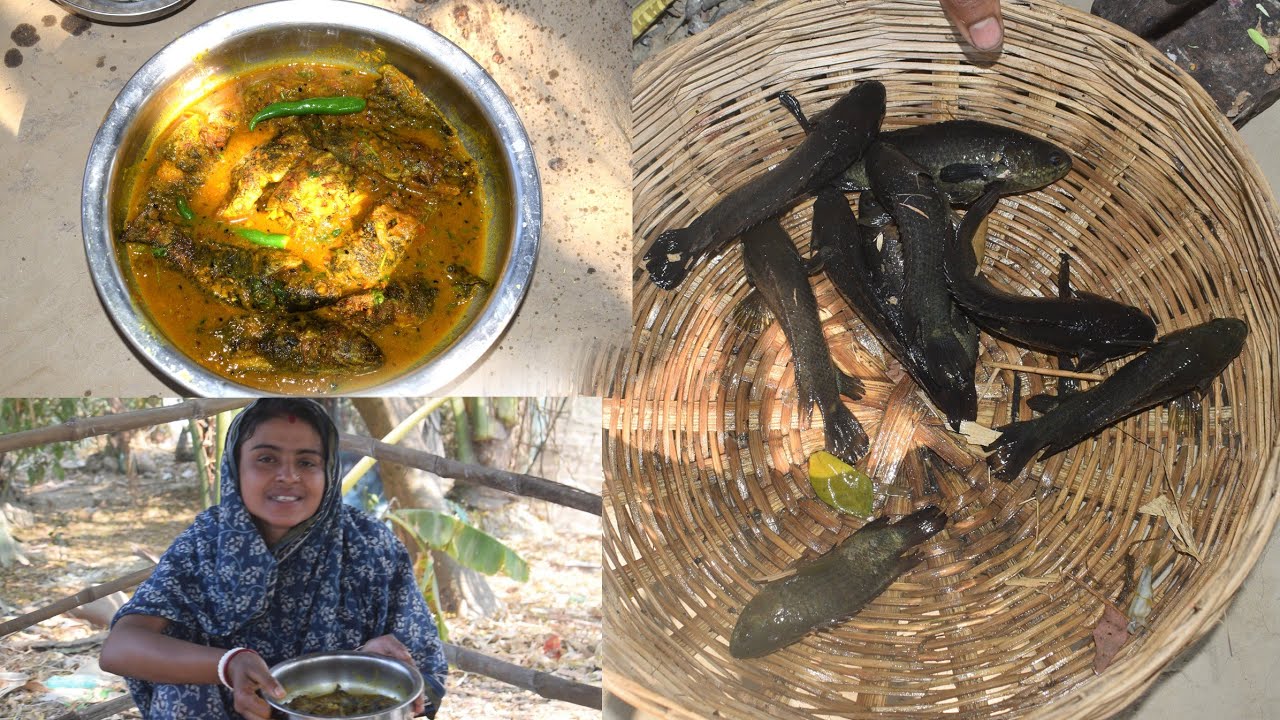 বাড়ির পুকুর থেকে পাকা কৈ মাছের ধরে তেল কৈ| Bengali ফেমাস তেল  কৈ 