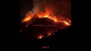 Biota - Roots
