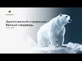 Лекция: Арктический странник — белый медведь