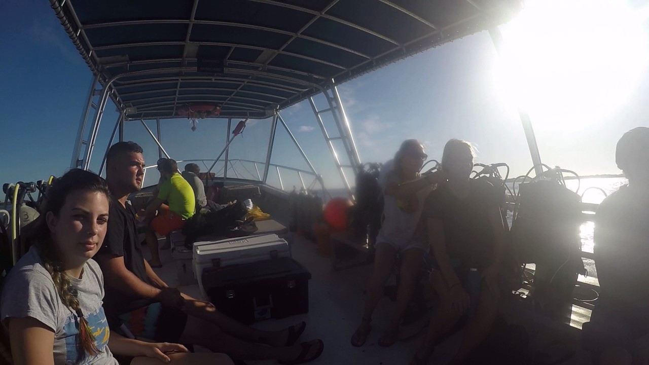 St petersburg boat ride to dive site