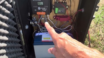 hog trap remote trigger using cellular hotspot