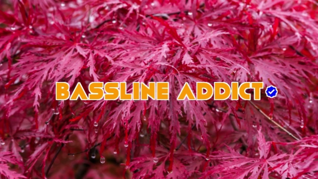 SCB Ft. LB - Na Den U Daft Prick│BasslineAddict