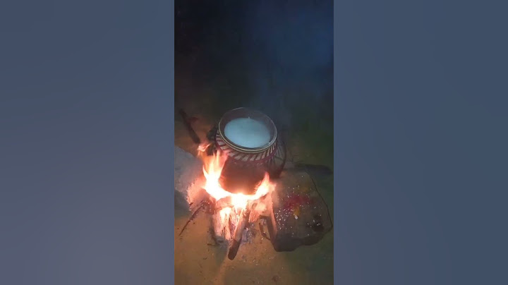 Tamilnadu festival#pongal #shorts #today #varisu #thalapathy #thunivu #thala #jallikattu