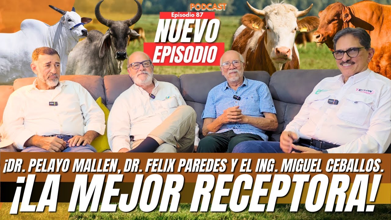 20 MIL PREÑECES DOBLES: ESTRATEGIA, MANEJO Y RESULTADOS REALES | Panorama Agropecuario