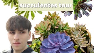 succulentes tour #3