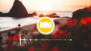 Half-ID - Pokerface [NO COPYRIGHT MUSIC MOVEMENT] (FREE TO USE SONG)