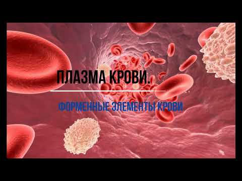 Плазма крови. Форменные элементы крови,  8 класс. Атлас в 3 Д