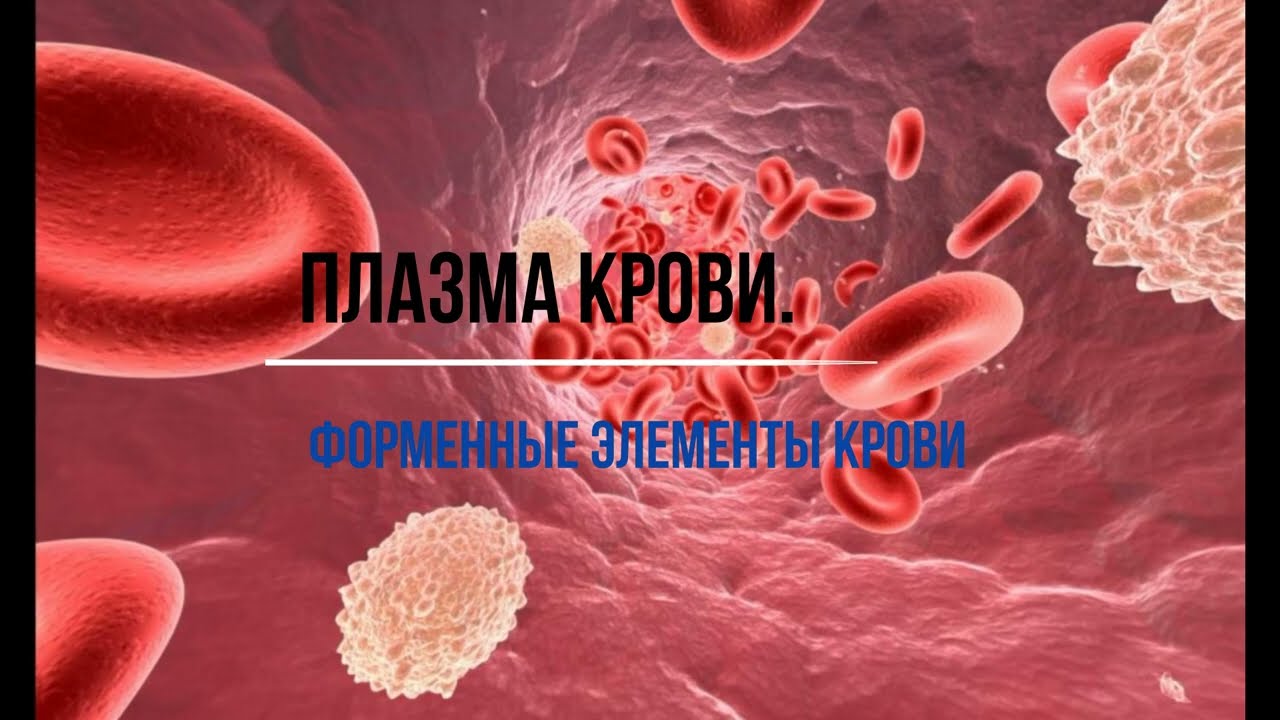 Плазма крови. Форменные элементы крови, 8 класс. Атлас в 3 Д - YouTube