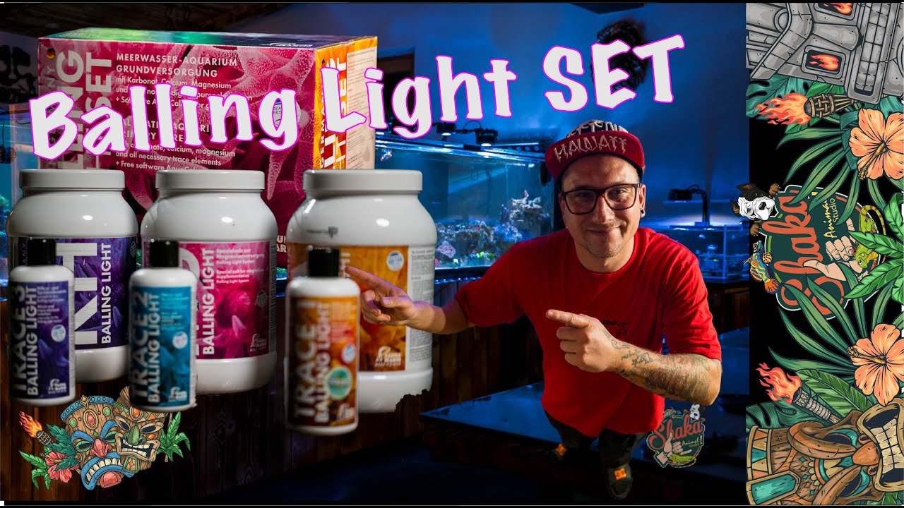 Balling Light Set Für Meerwasseraquarium – Inkl. Produktbild-Vorschau 6