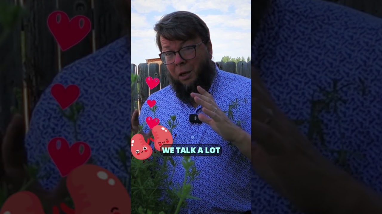 Наконец-то! Растение, которое обнимет вас в ответ!