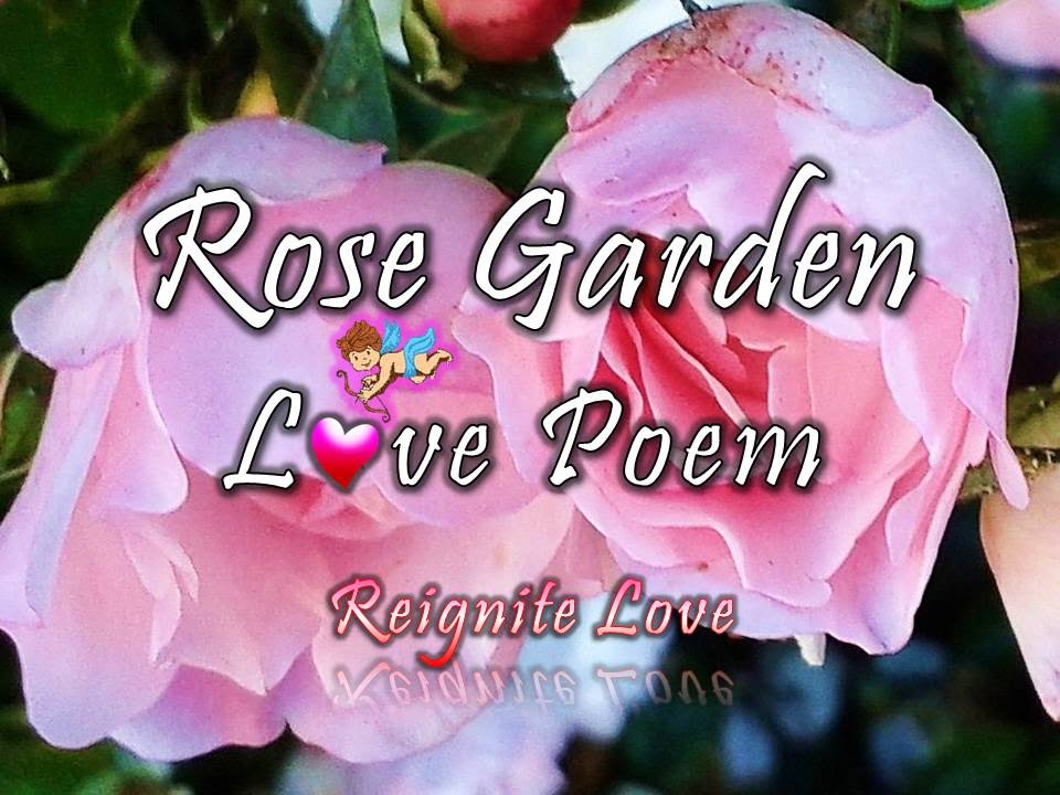 rose love poem 2 rose garden by reignite love youtube