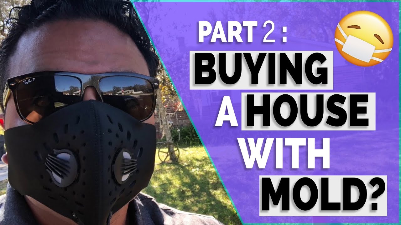 What To Do When Buying A House With MOLD!