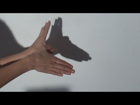 Video: Wie Man Schatten Auf Den Händen Macht